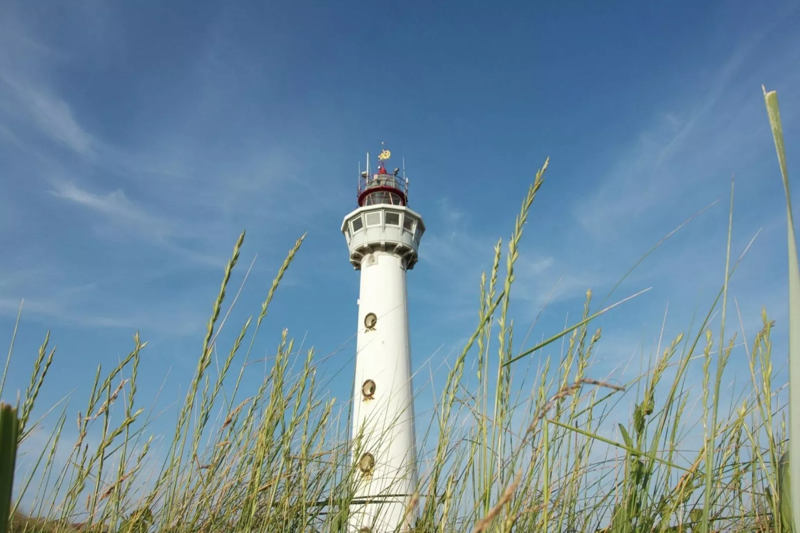 Egmonds Duintje-Areas summer 1km