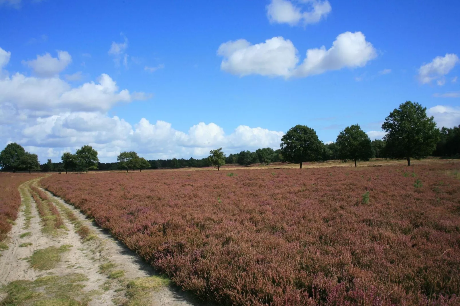 't Woold-Areas summer 20km