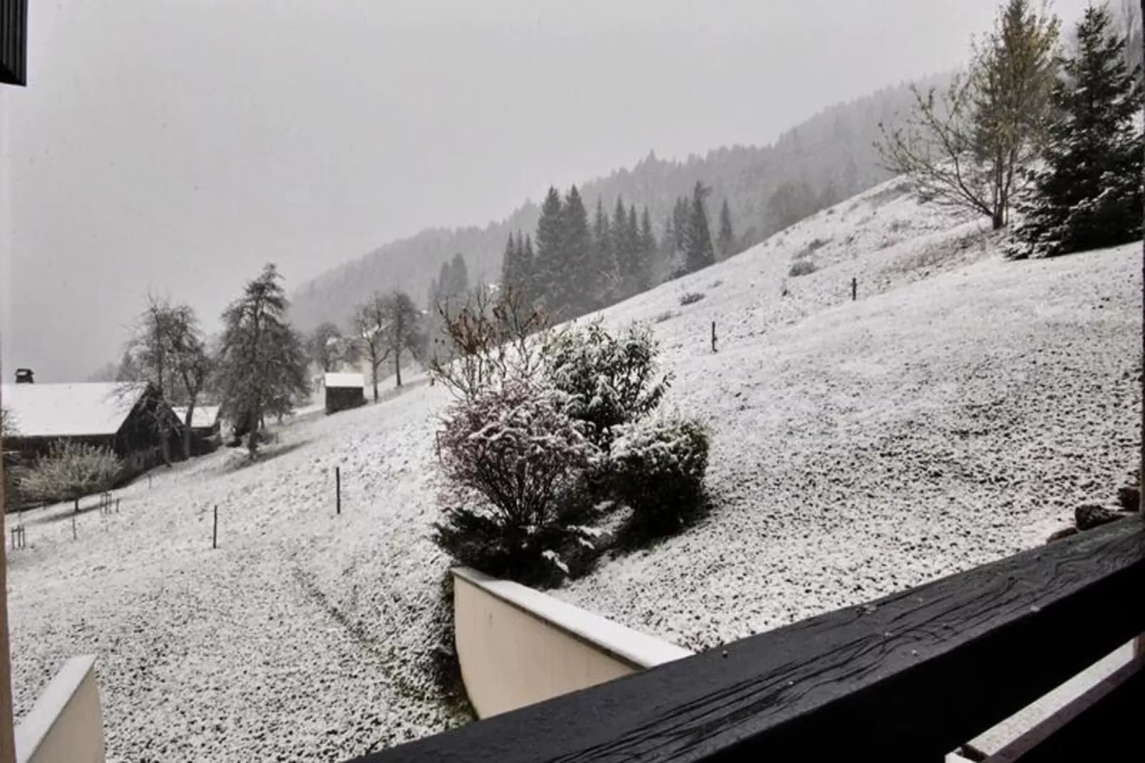 Studio à Saint Jean d'Aulps-Außenbereich Sommer