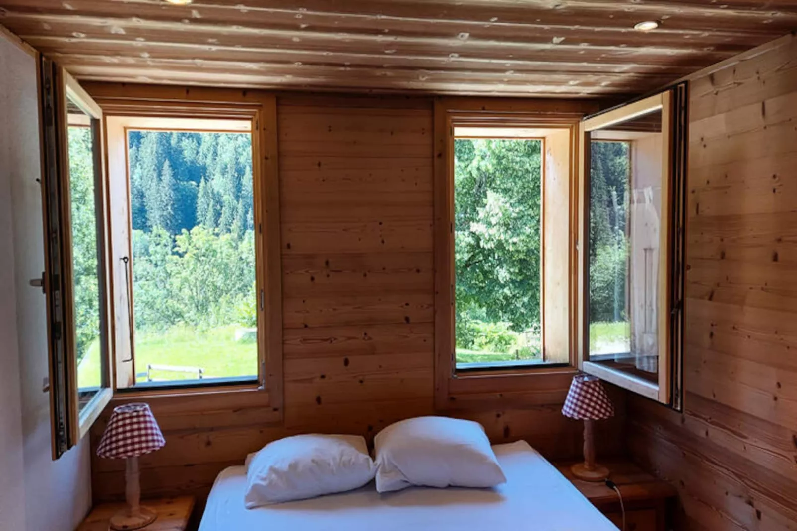 Chalets à Saint Jean d'Aulps-Image-tags.