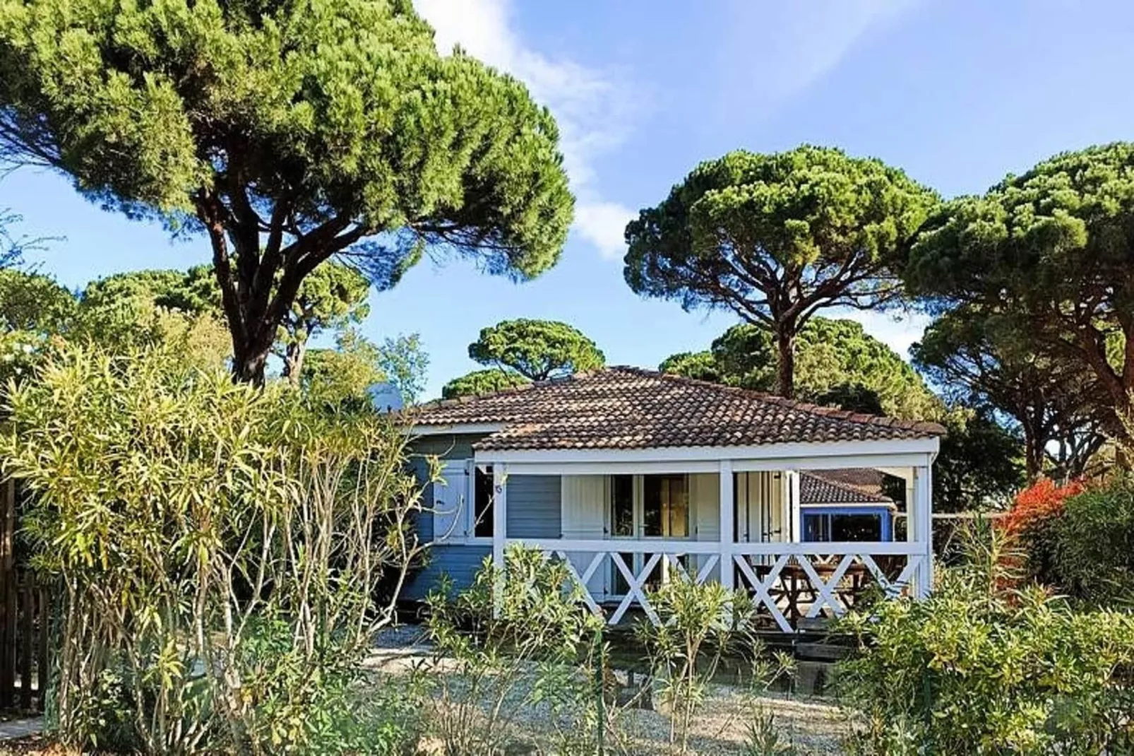 Résidence Parc Oasis-Außenbereich Sommer