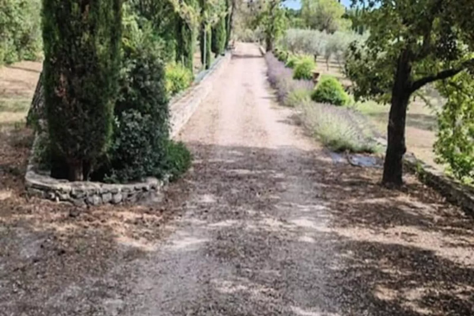 La Roseraie- Pernes-les-fontaines-Image-tags.