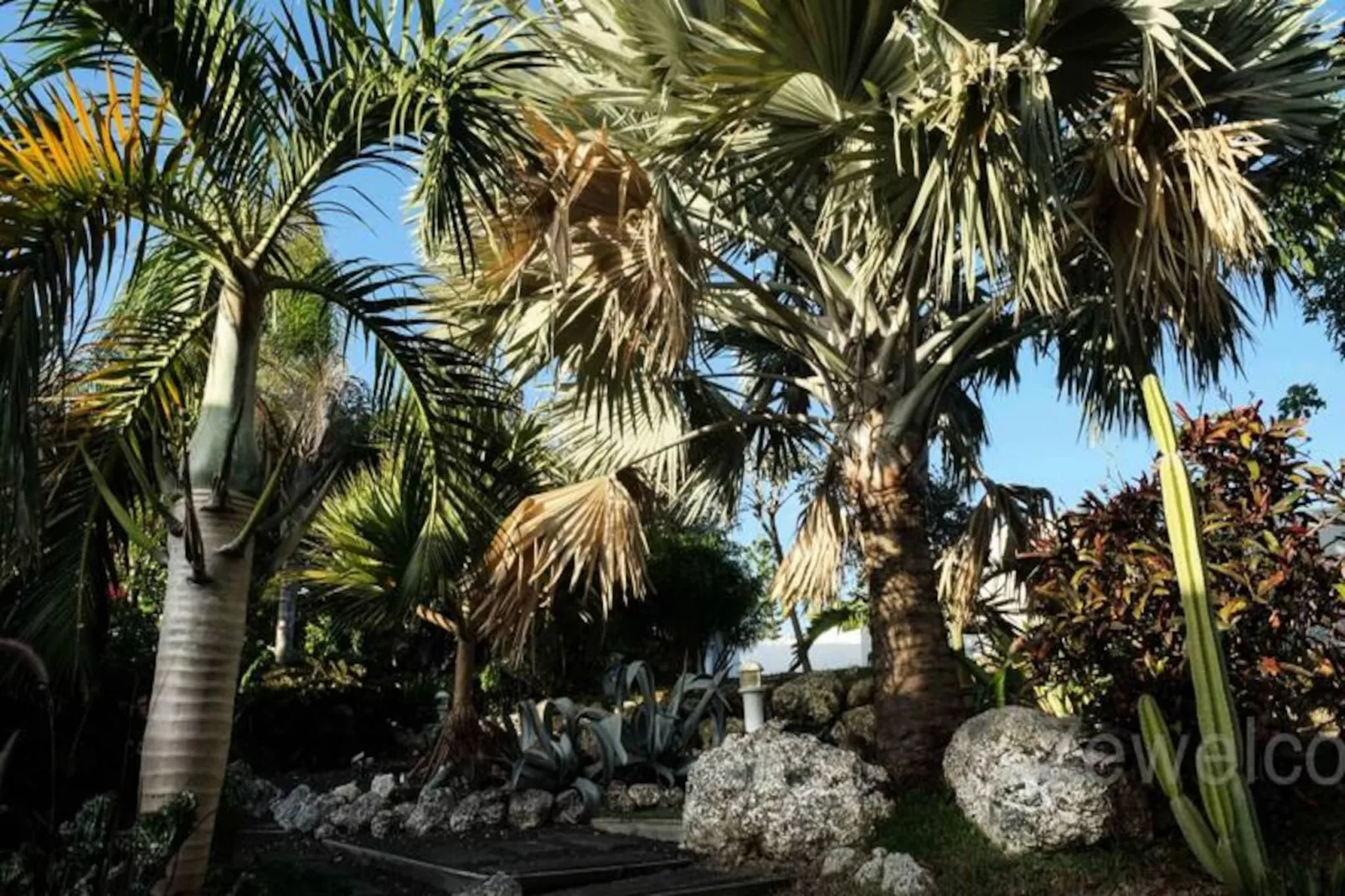 Villa Sea Side-Image-tags.