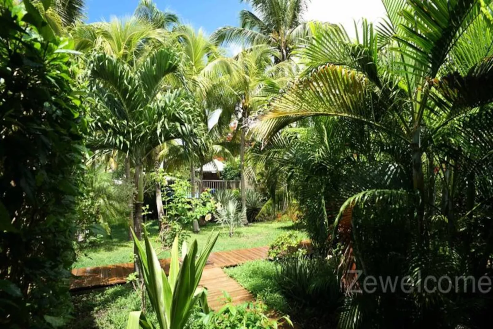 Bungalow Pitaya-Image-tags.