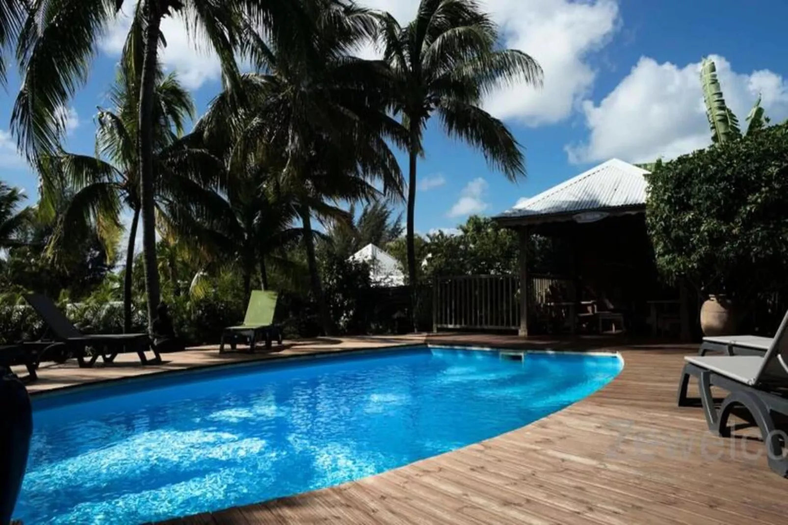 Bungalow Palm-Extérieur été