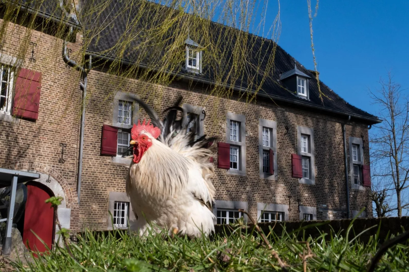 Meschermolen 8-Facilities