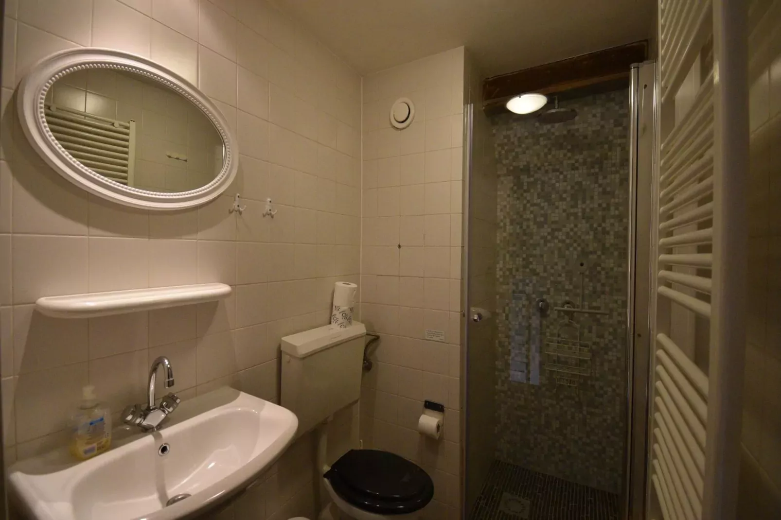 Meschermolen 14-Bathroom