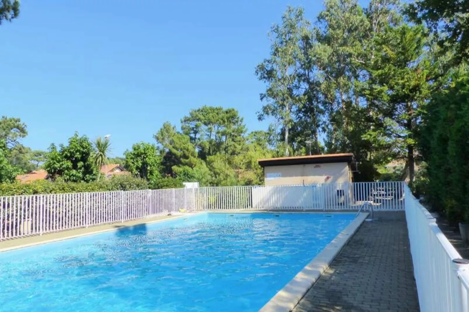 Résidence Paradise Ocean-Image-tags.