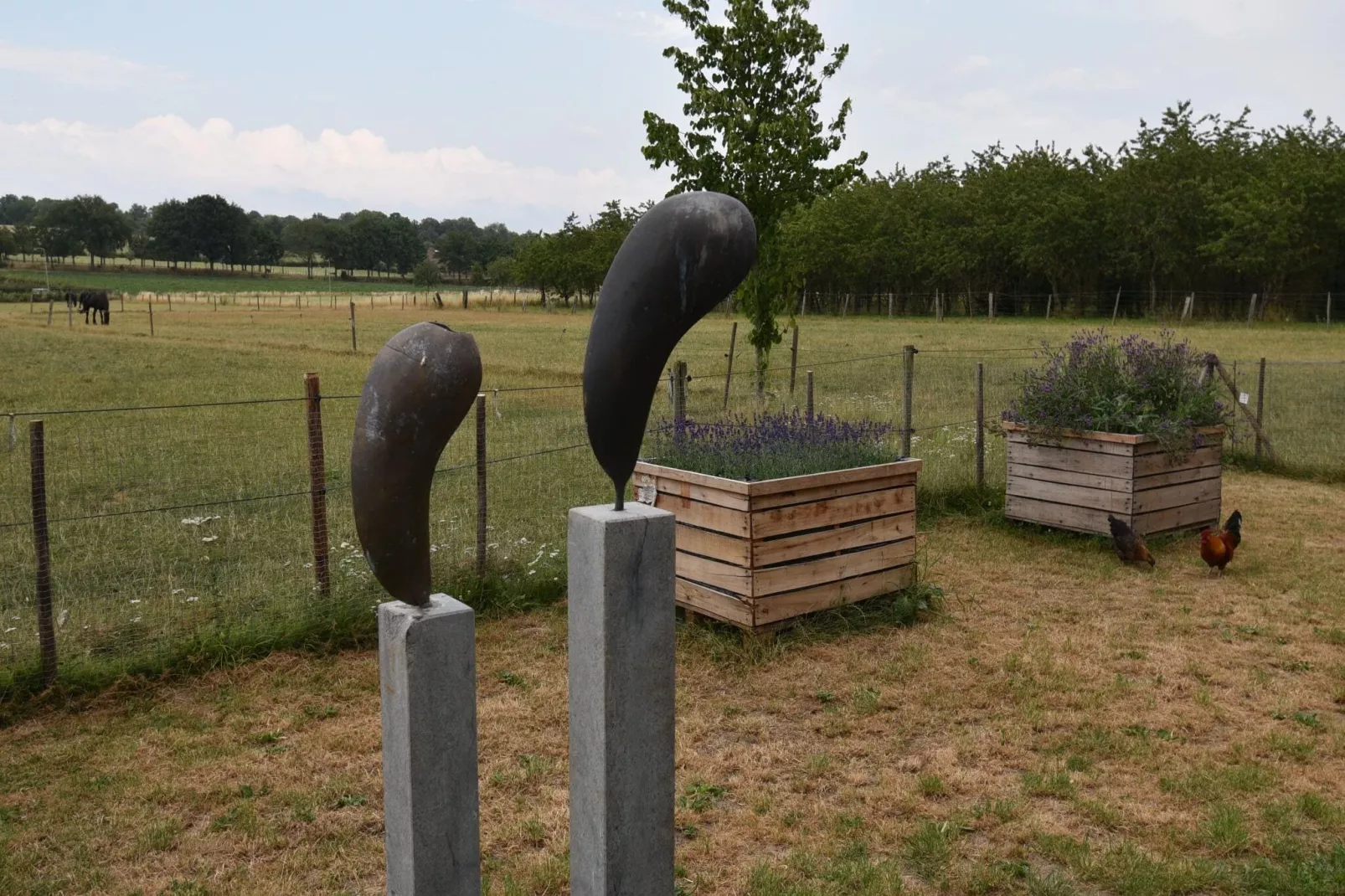 Meschermolen 14-Gardens summer