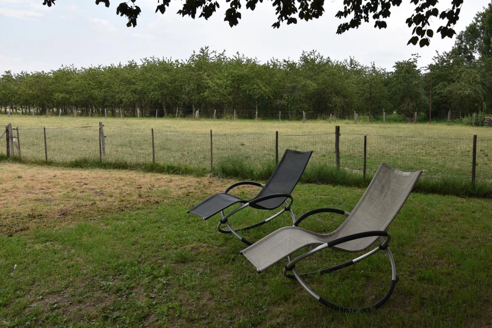 Meschermolen 14-Gardens summer