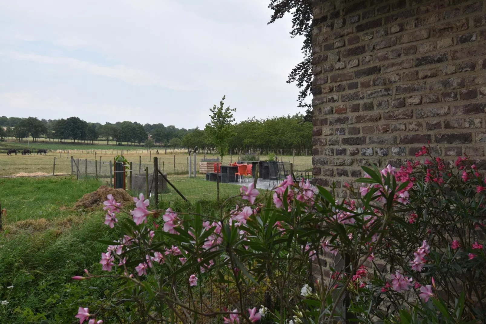 Meschermolen 14-View summer