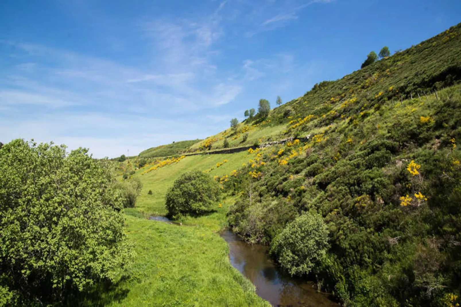 Gîte de France Gîtes de france 2/4 personnes à la peyre 2 épis-Image-tags.