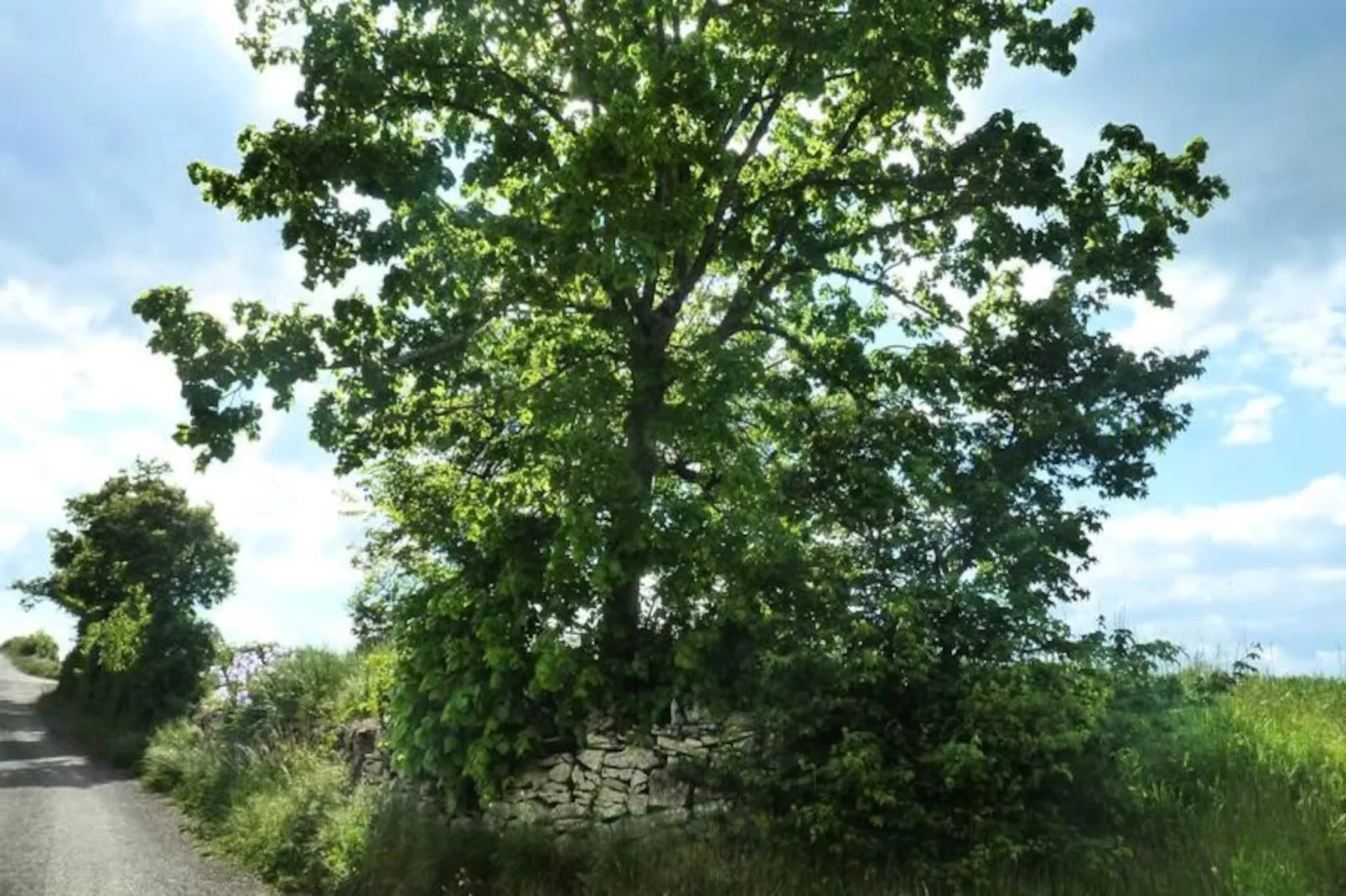 Gîte de France Gîte "la nature" 4 épis-Image-tags.