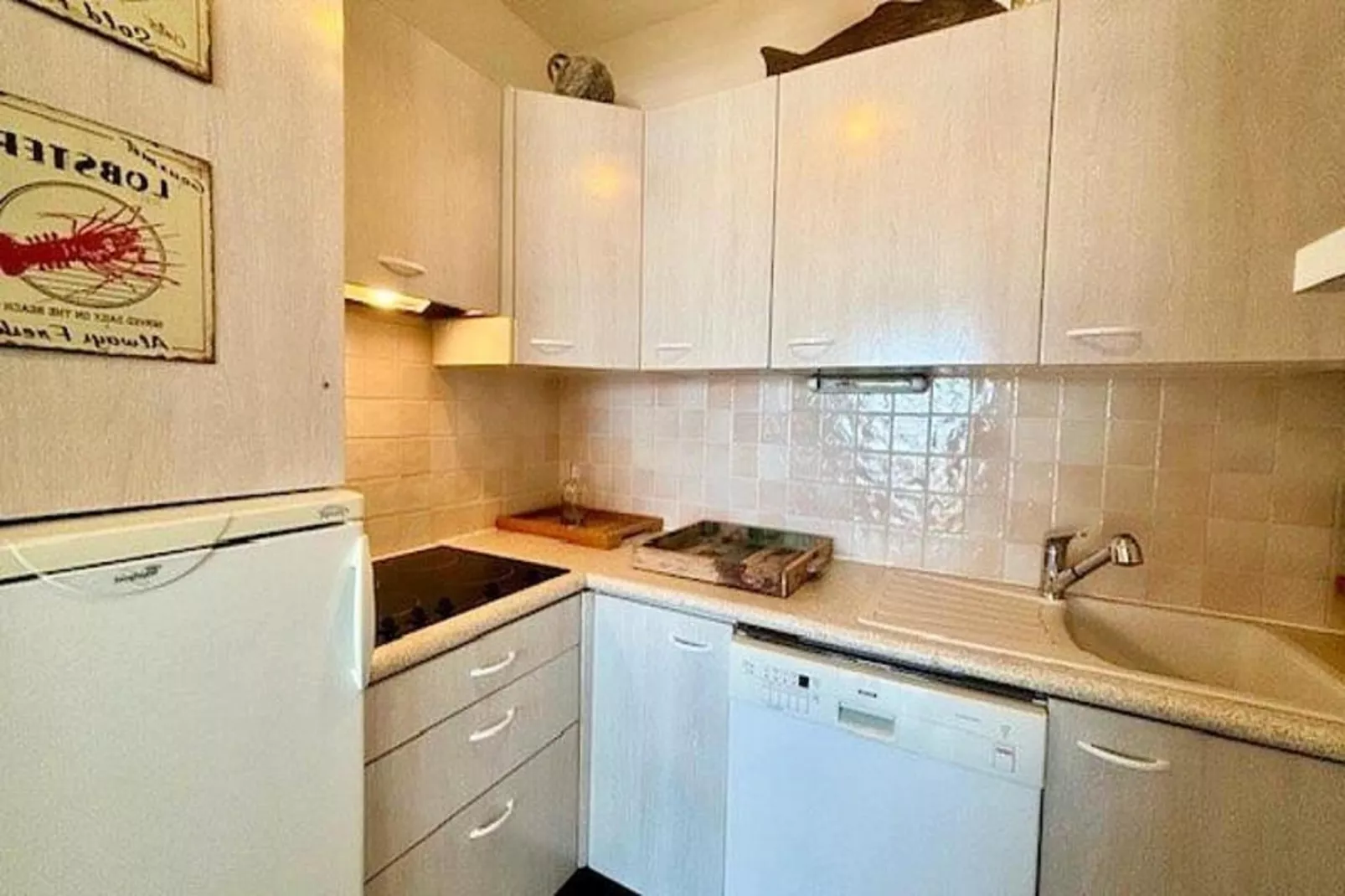 Résidence Le Mane-Kitchen