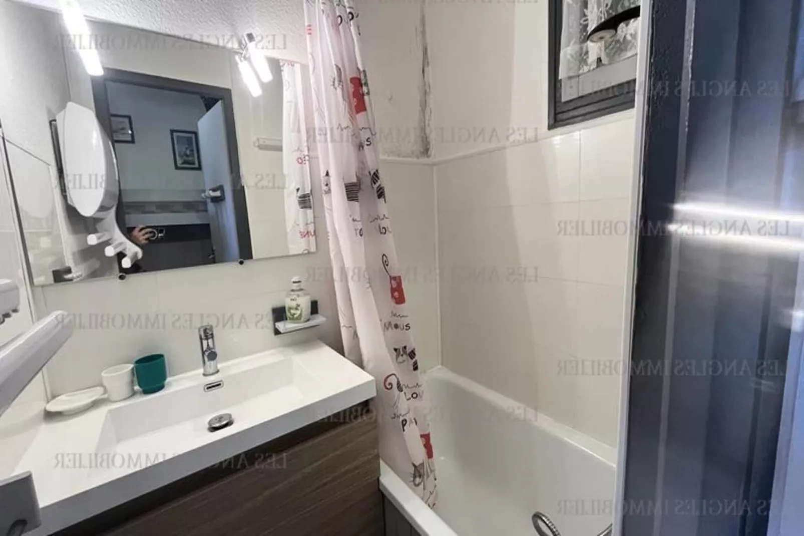 Résidence Les Mouflons-Exterior in summer