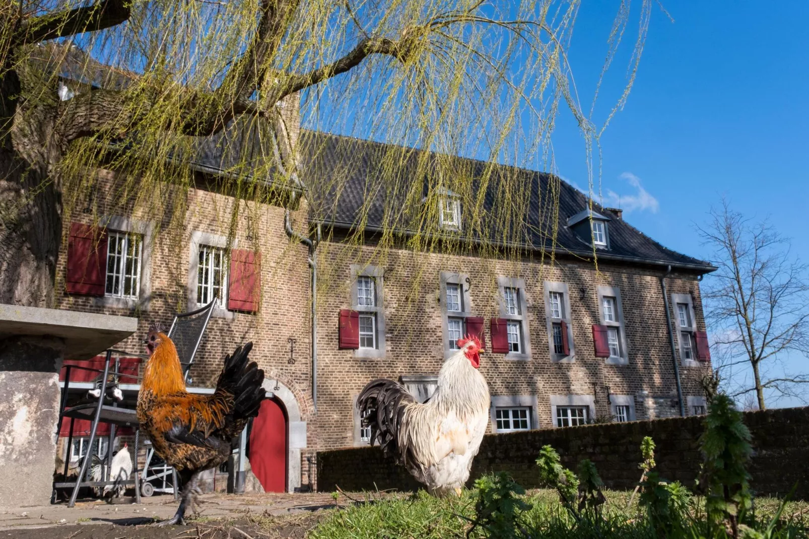 Meschermolen 7-Facilities