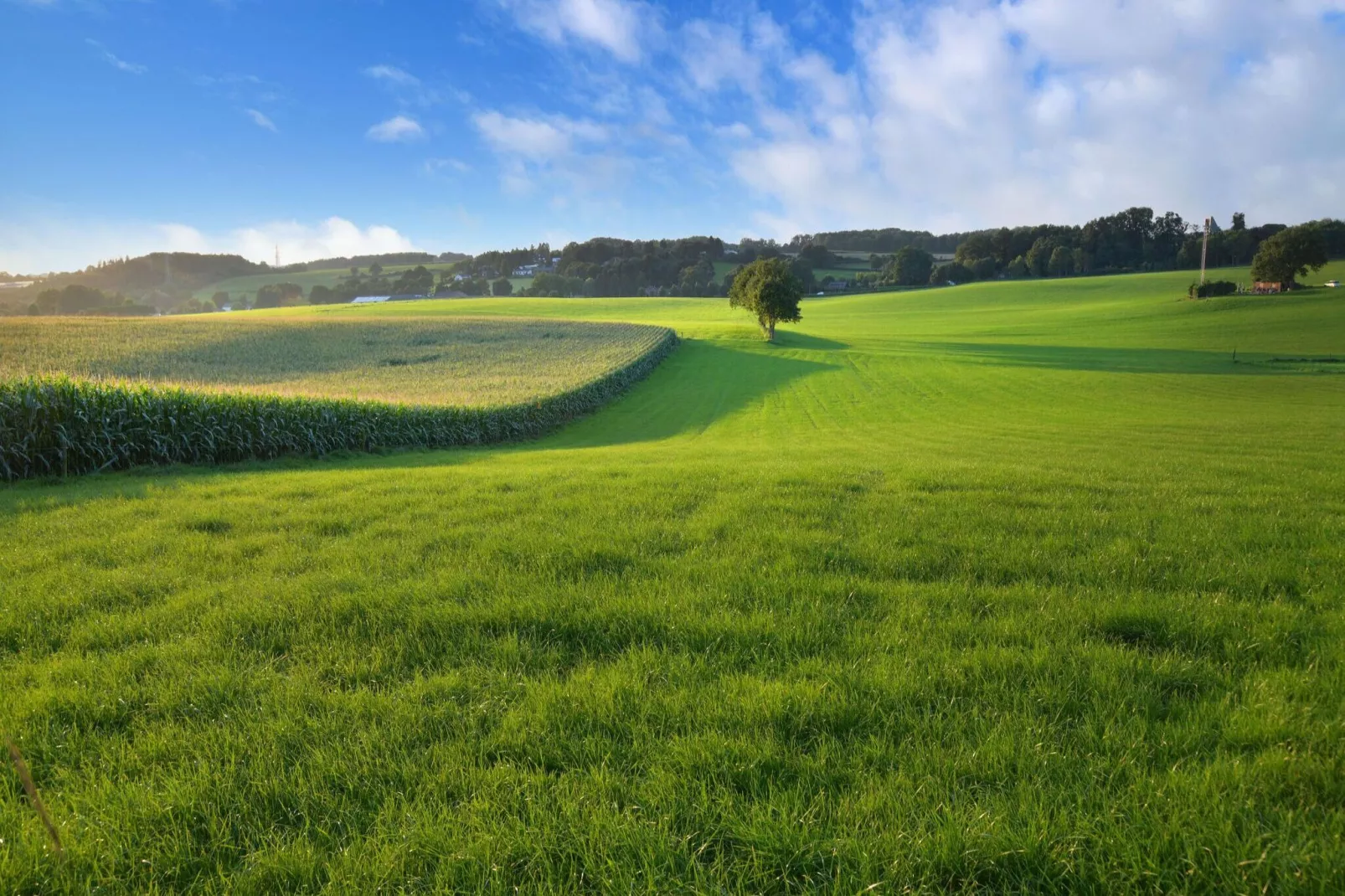 Hoeve A Gen Water- Donderblumke-Areas summer 5km