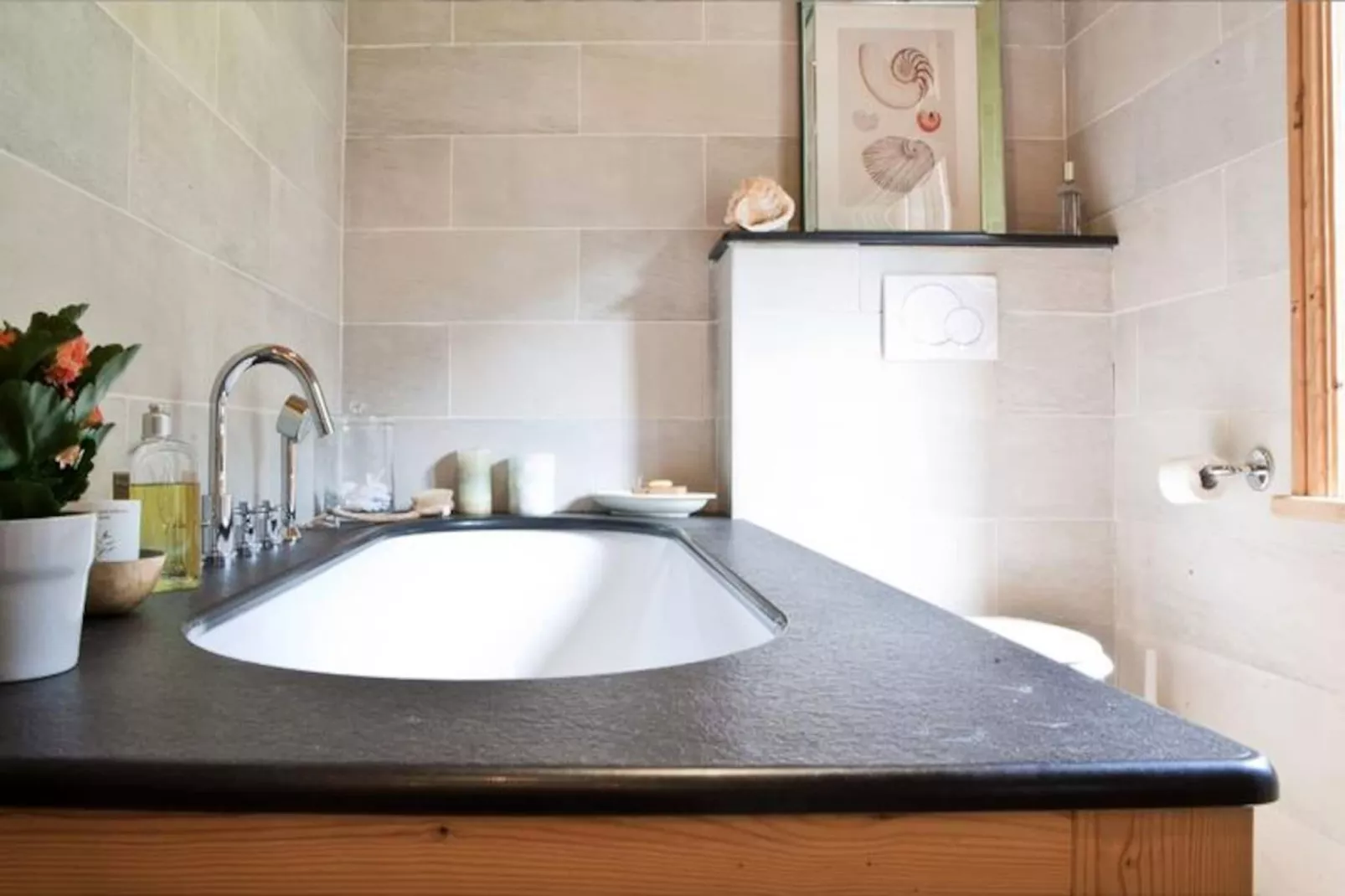 Résidence Les Arolles-Image-tags.