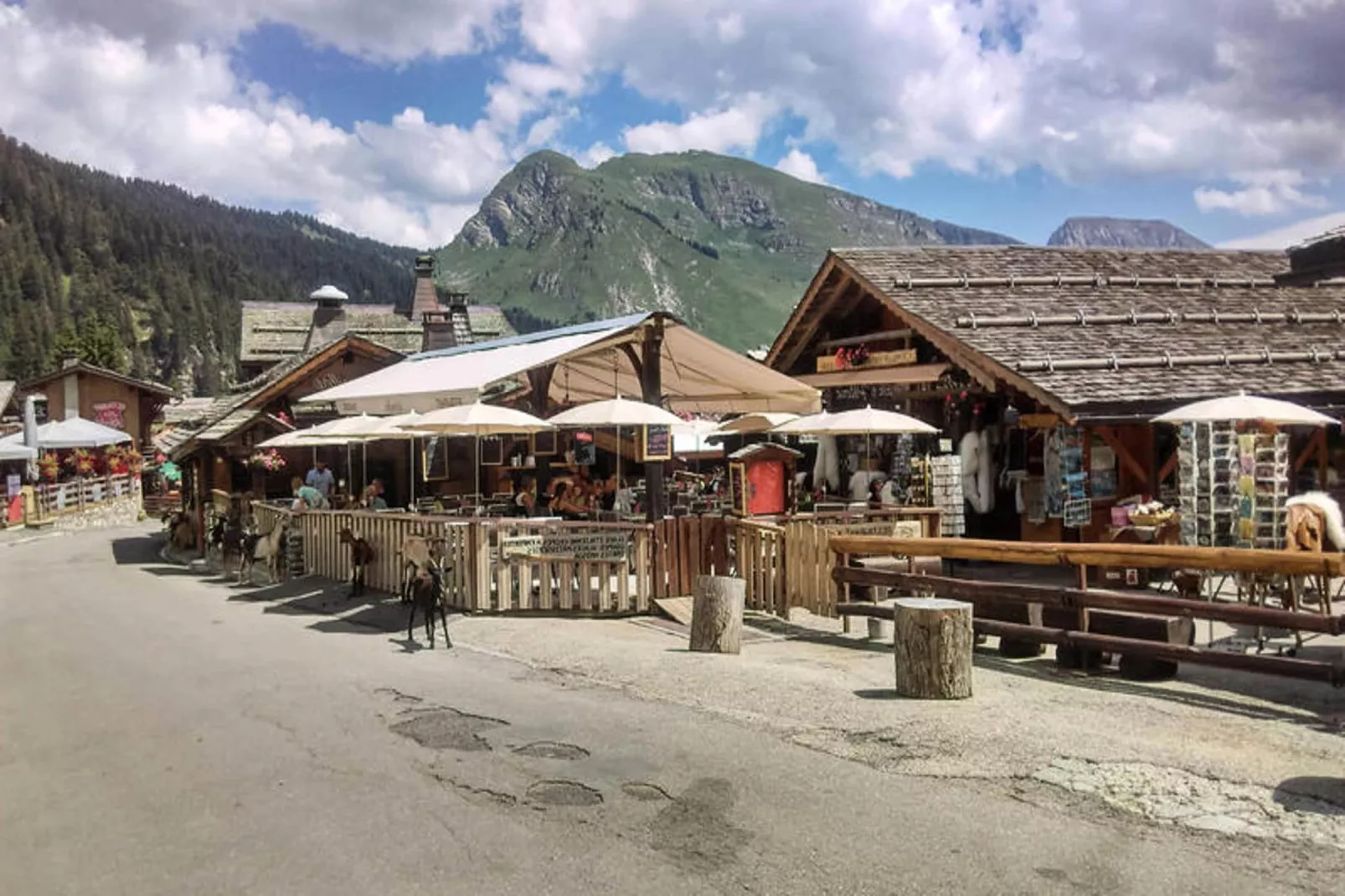 Appartements à Montriond-Areas within 1km in summer