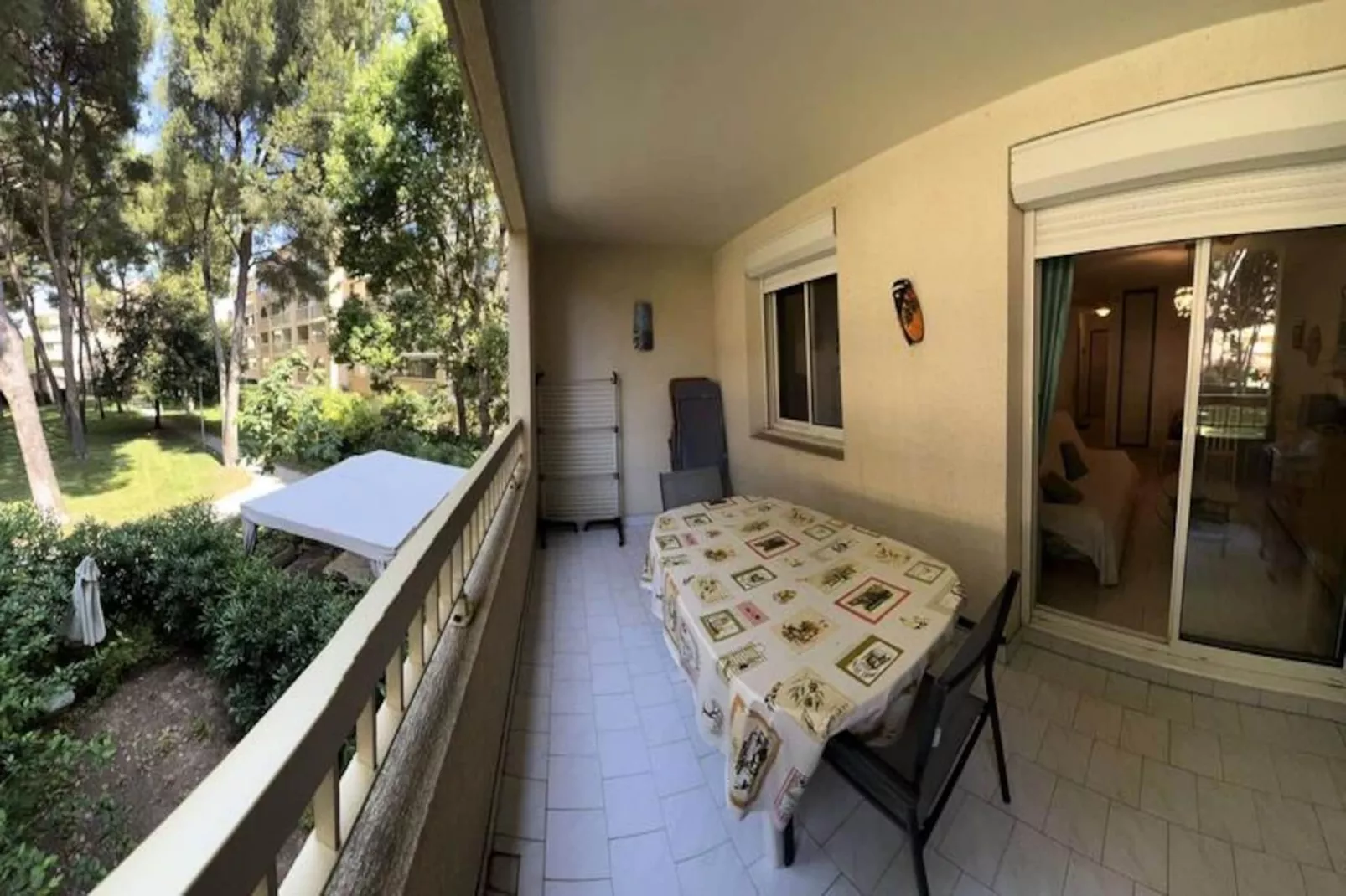 Résidence Palmiers-Image-tags.