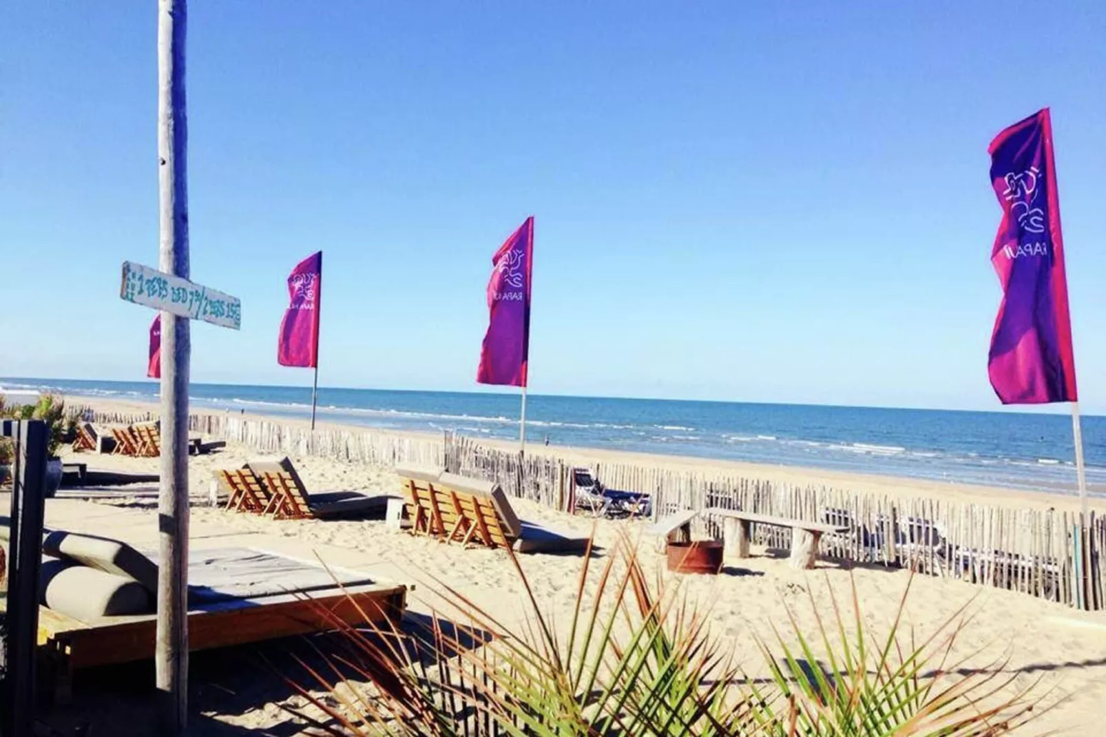 Sea Lodges Bloemendaal 1-Areas summer 1km
