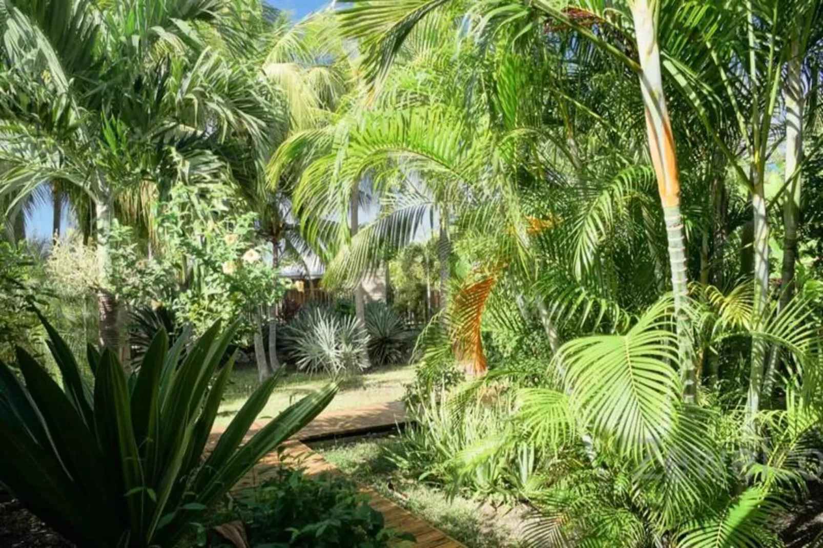 Bungalow Physalis-Jardins en été