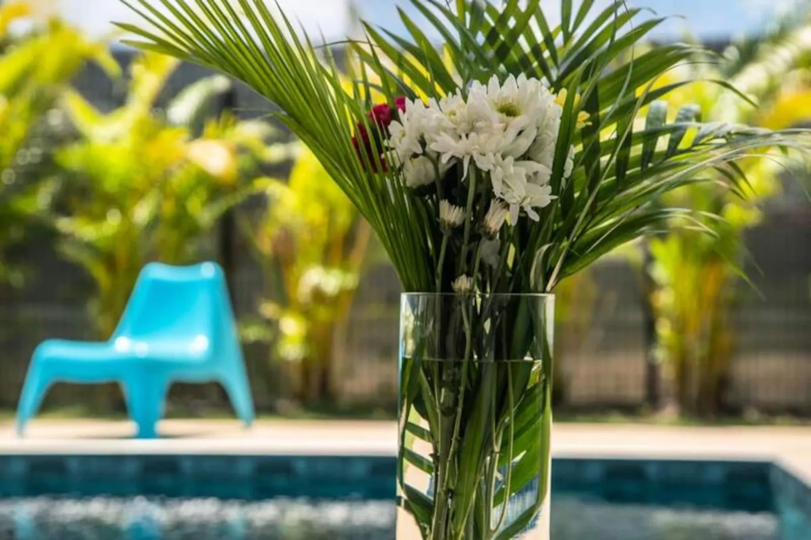 Villa Soleone-Image-tags.