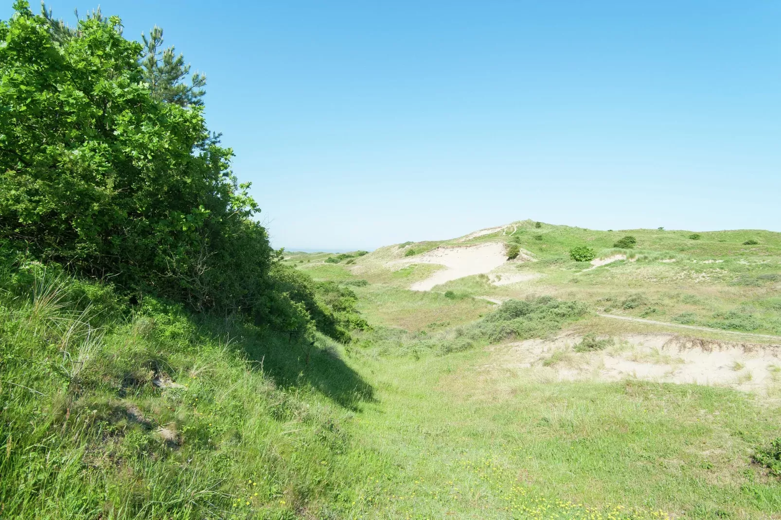 Sea Lodges Bloemendaal 3-Areas summer 20km
