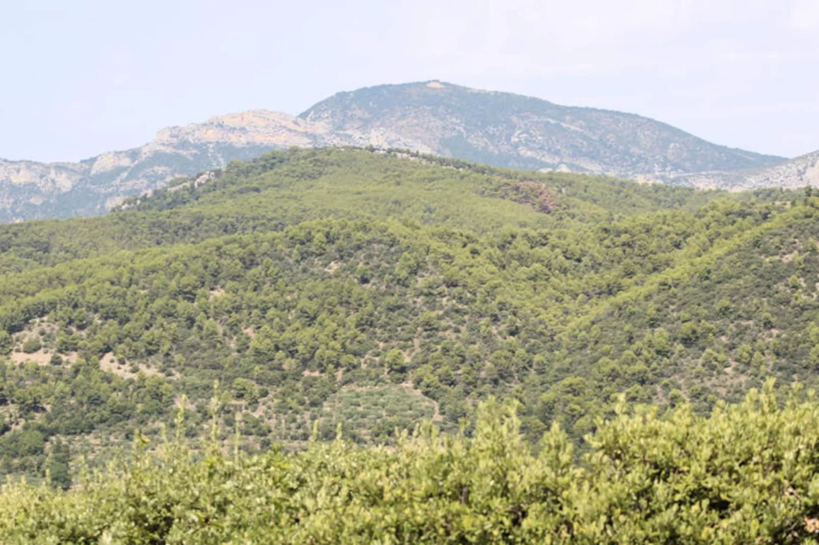 Maison à Mollans sur Ouvèze