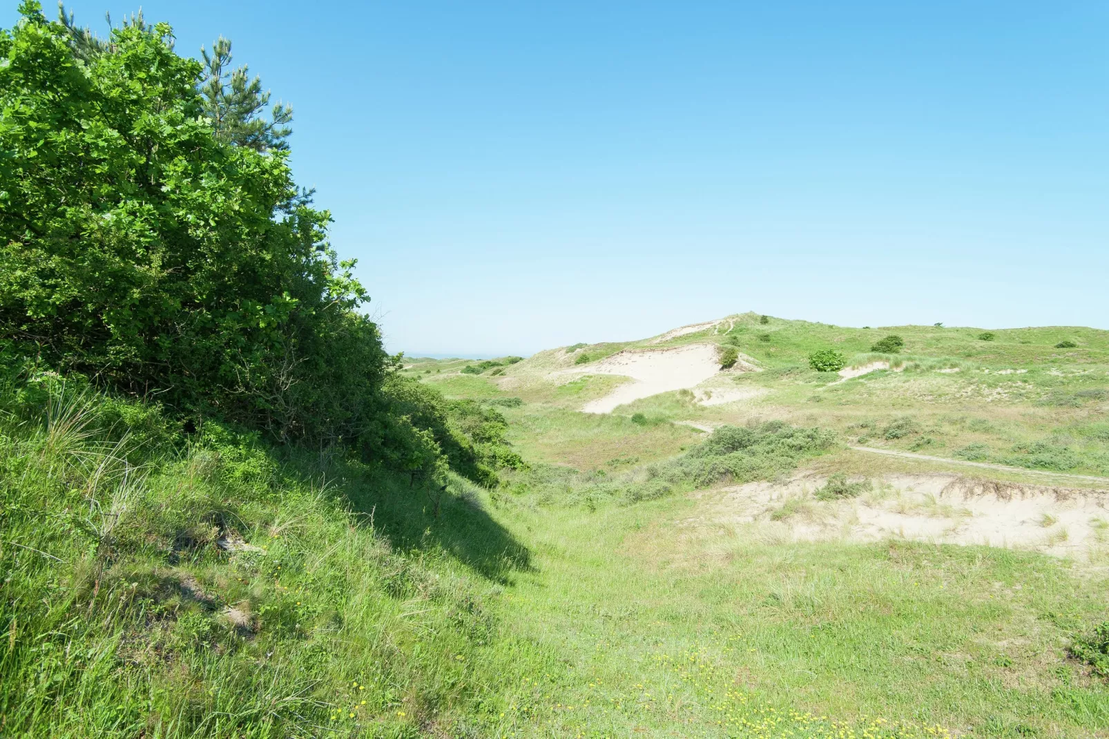 Sea Lodges Bloemendaal 5-Areas summer 20km