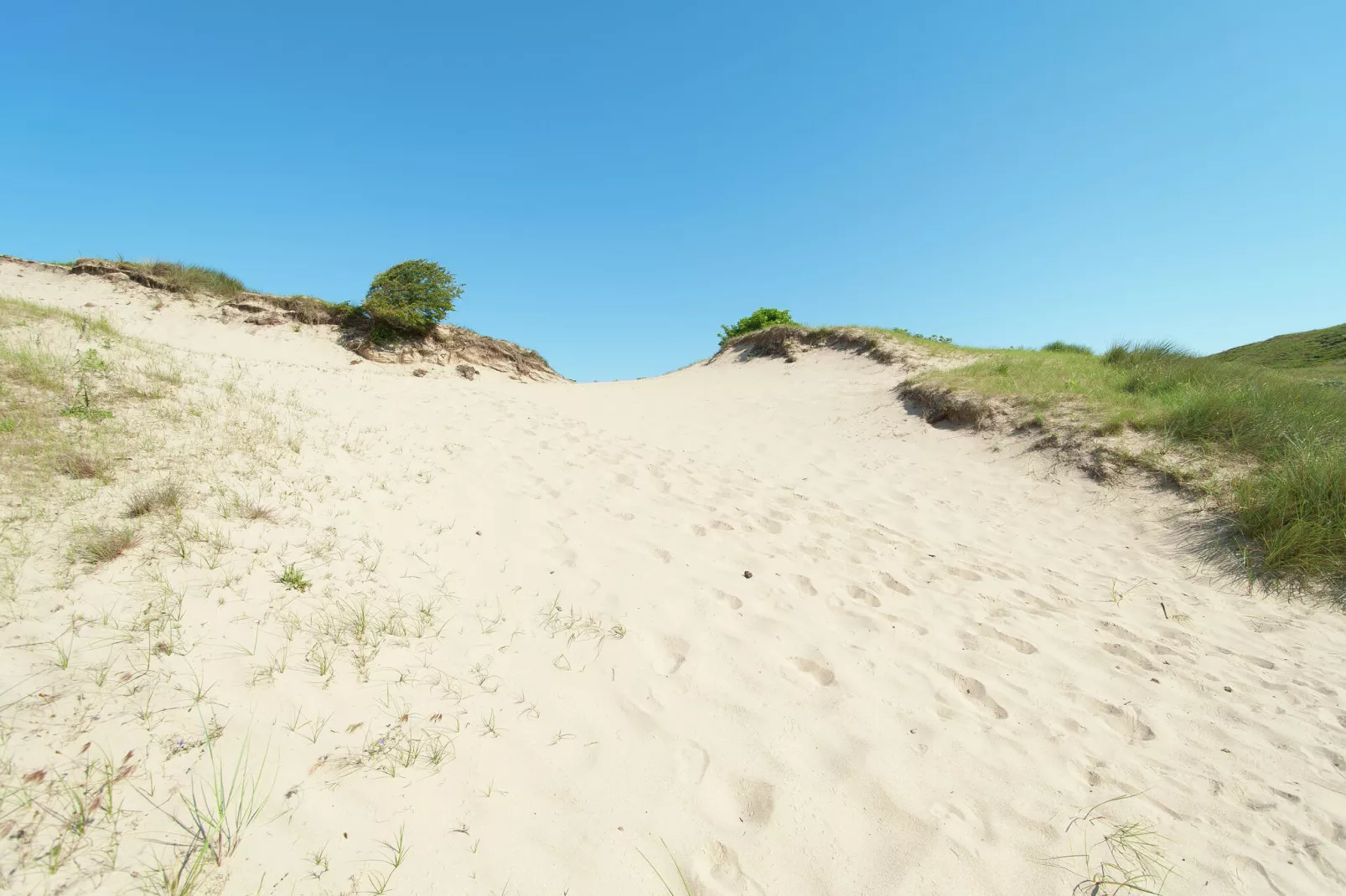 Sea Lodges Bloemendaal 5-Areas summer 20km