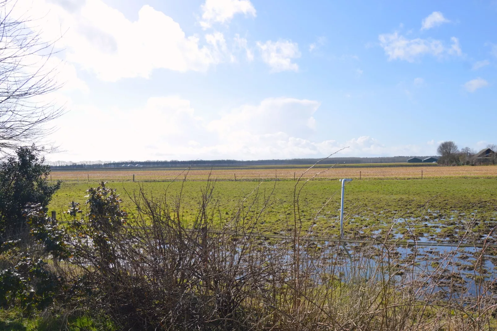 De Kibbelhoeve-View winter