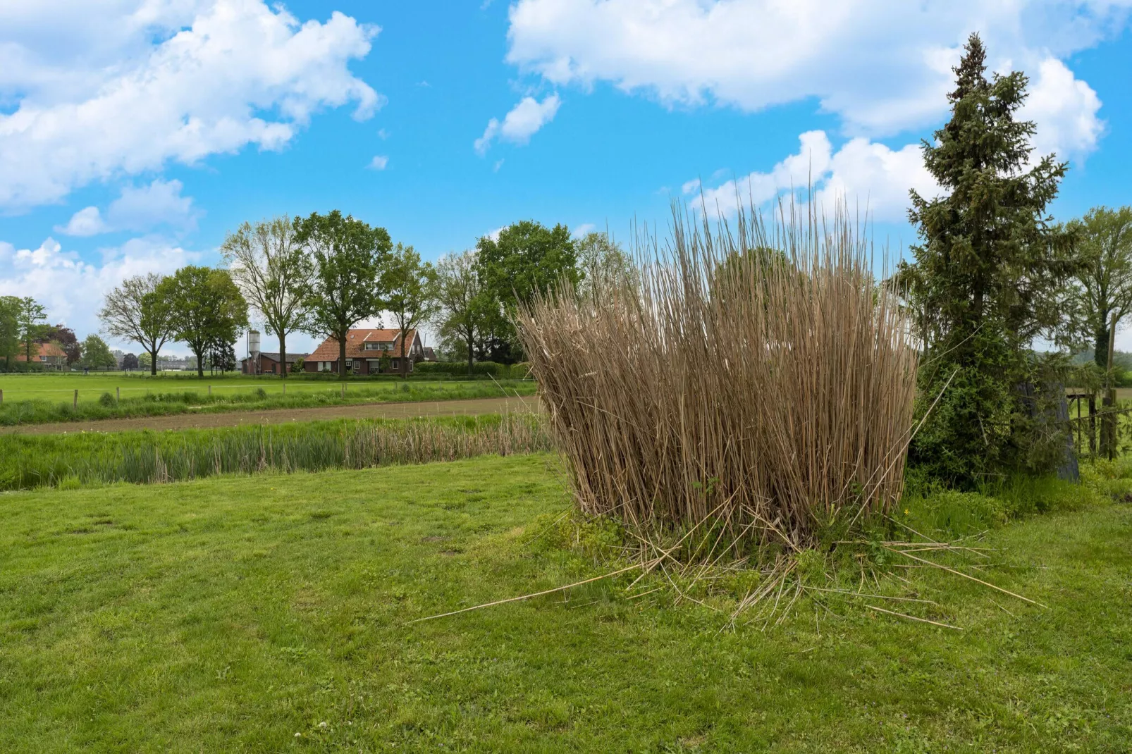 De stakenborg het voor- en achterhuis - Gardens in summer
