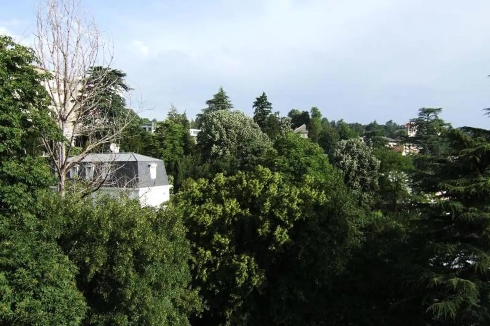 Residence Albion-Areas within 1km in summer