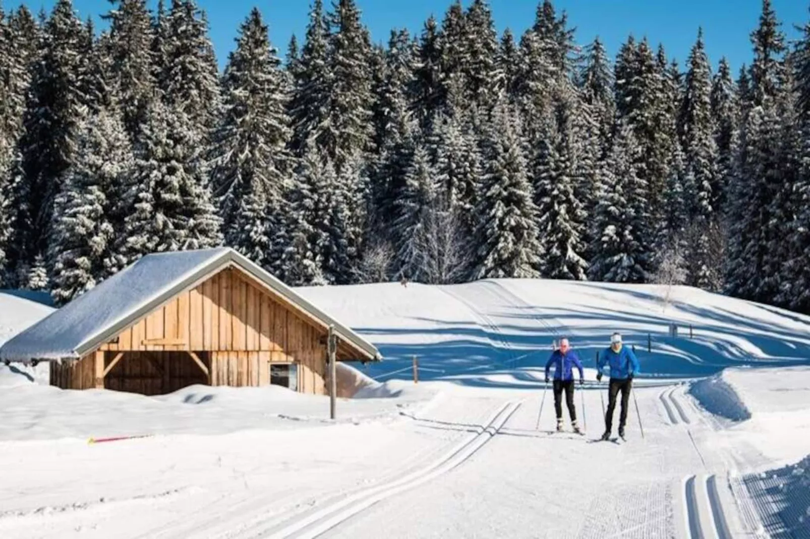 Appartement Familial Au Pied Des Pistes-Image-tags.