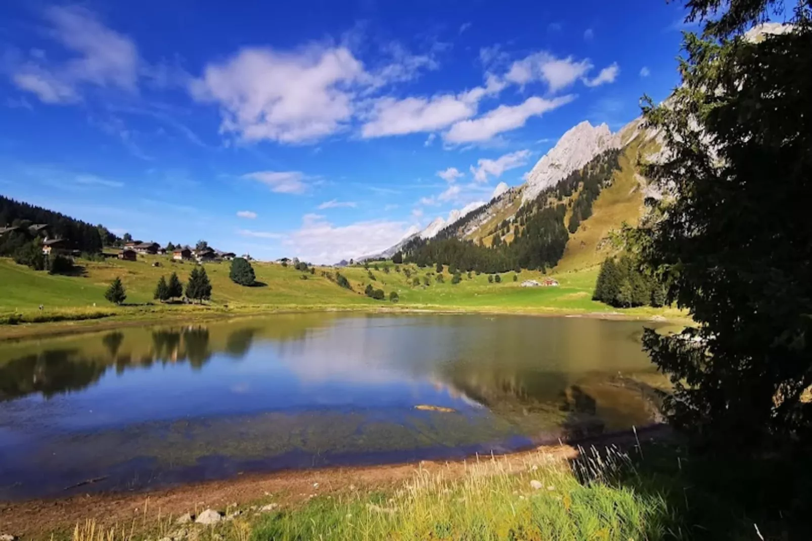 Résidence Bossonnet-Areas within 5km in summer