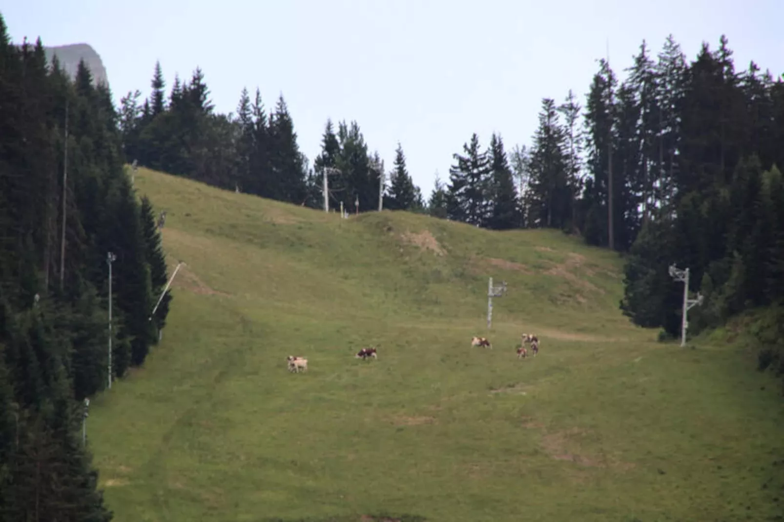 Studio à Les Carroz-d'Arâches-Image-tags.