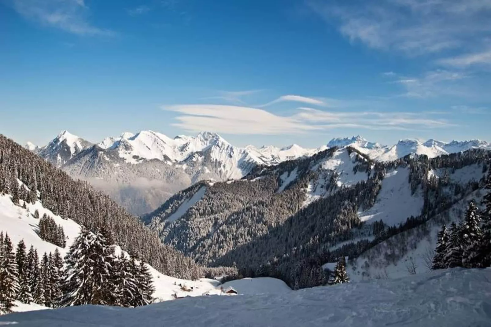 Appartements à Montriond-Gebiet Winter 5 km