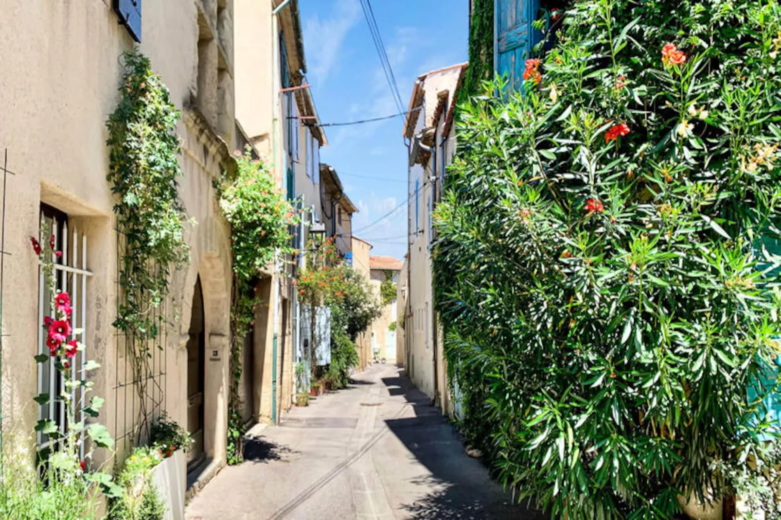 Appartement La Tourterelle I Les Nids De La Diane-Image-tags.