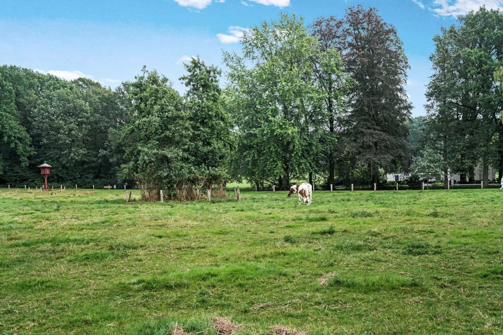 Park Kalheupink Oldenzaal-Areas summer 1km