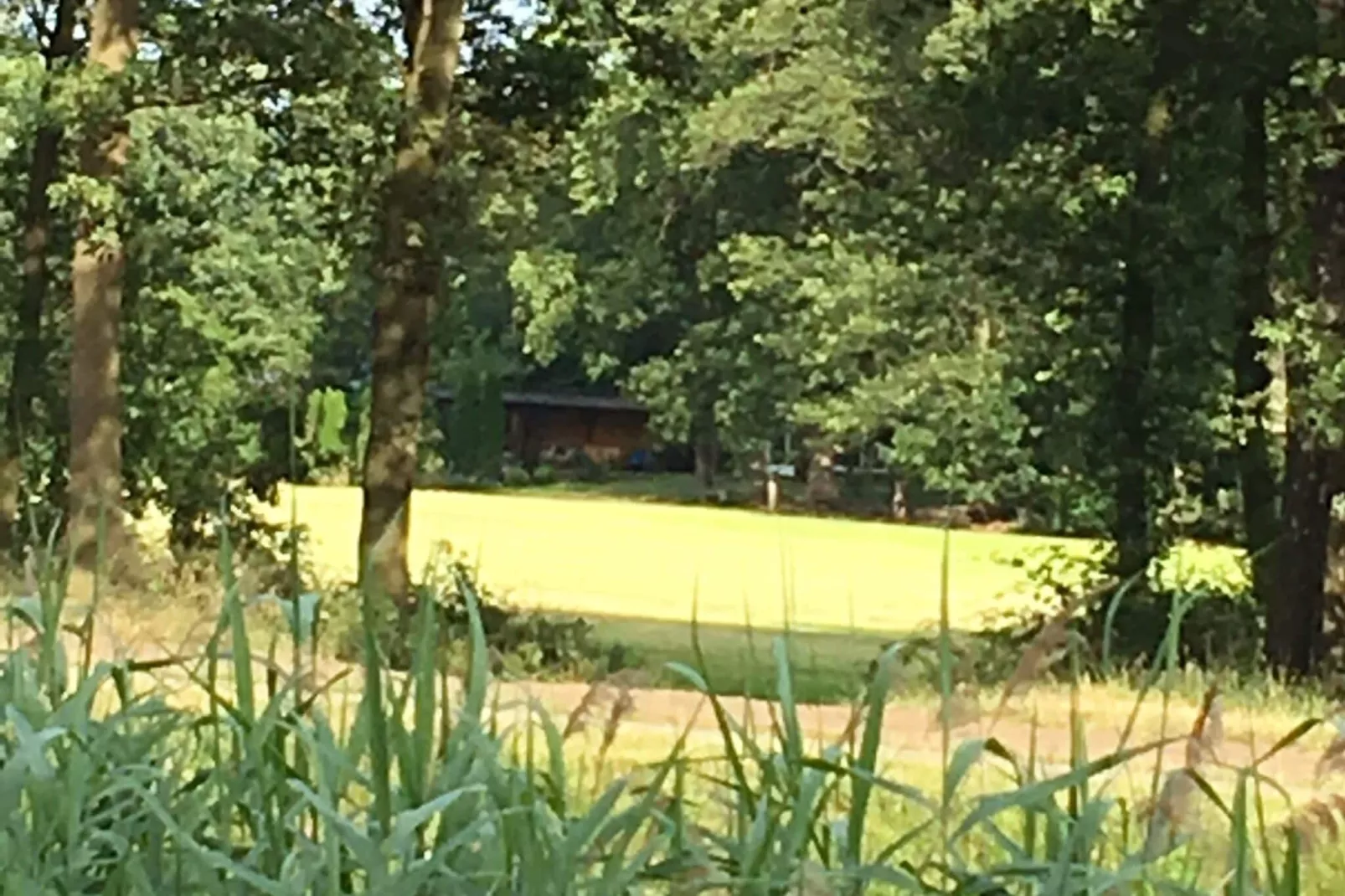 Oarich Trechte-View summer