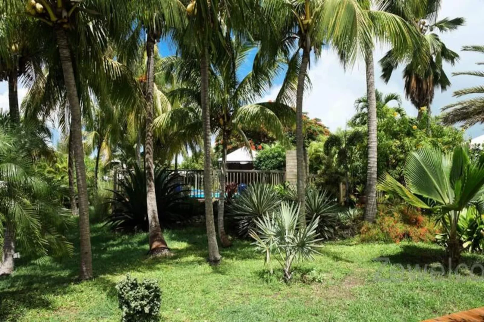 Bungalow Pitaya-Image-tags.