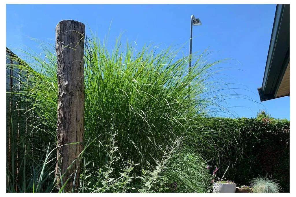 637765-Nicht zugeordnet