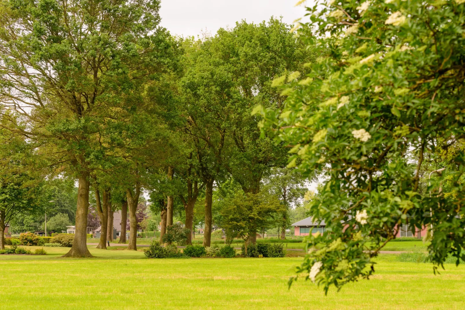 De Merel-Areas summer 1km