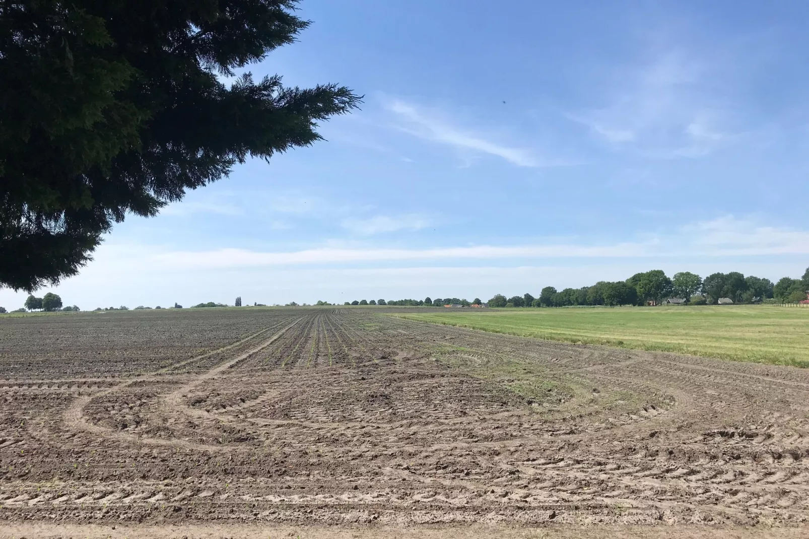 De Merel-Areas summer 1km
