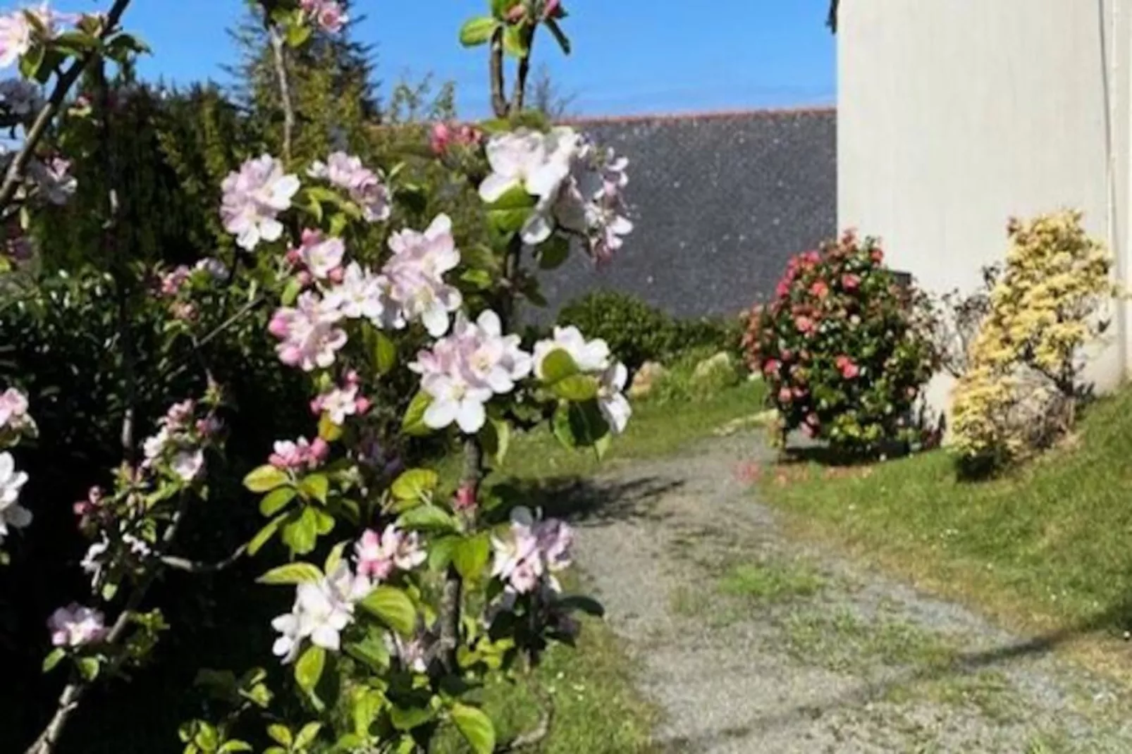 Résidence L98-perros Guirec-Image-tags.