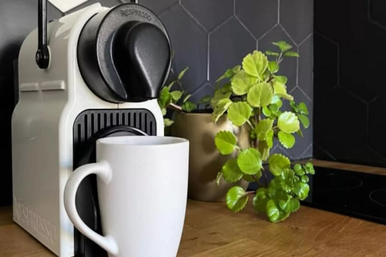 Les Toits De L'argenterie-Image-tags.