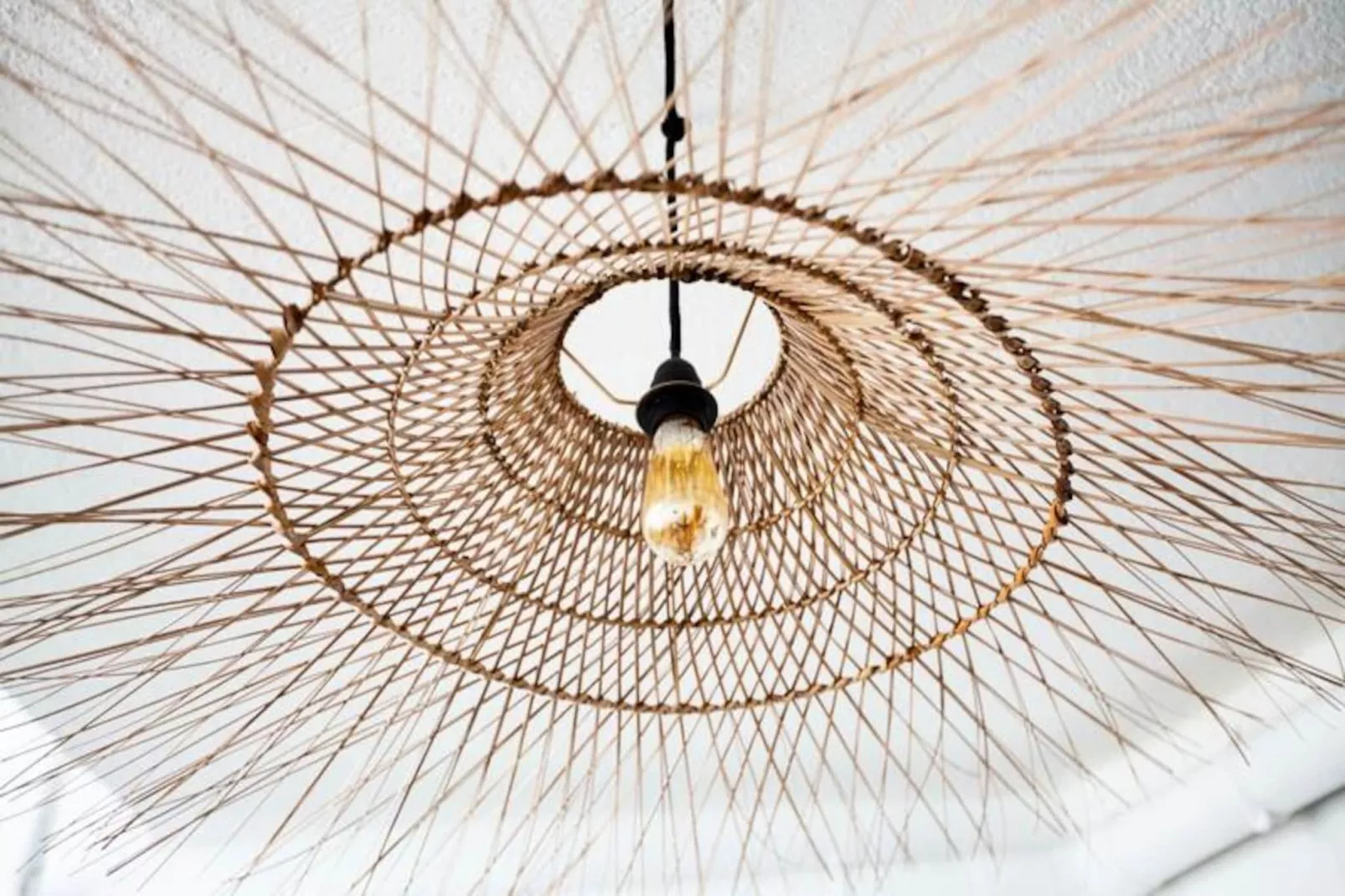 La Terrasse Bazille-Image-tags.