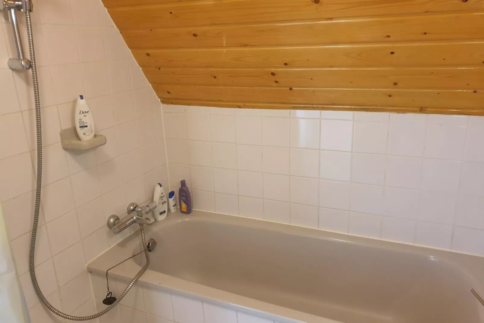 Boslaan 1-Bathroom