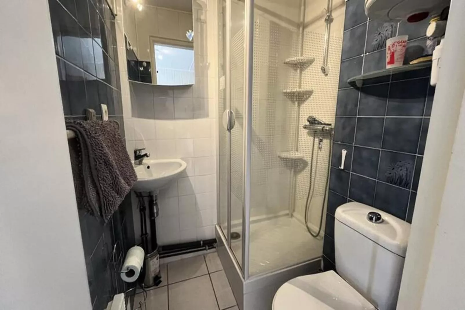 Résidence Le Grand Tétras-Außenbereich Sommer